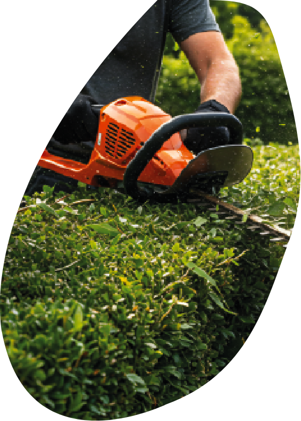 Entretien exterieur jardinage Maxime Bouchard Gers